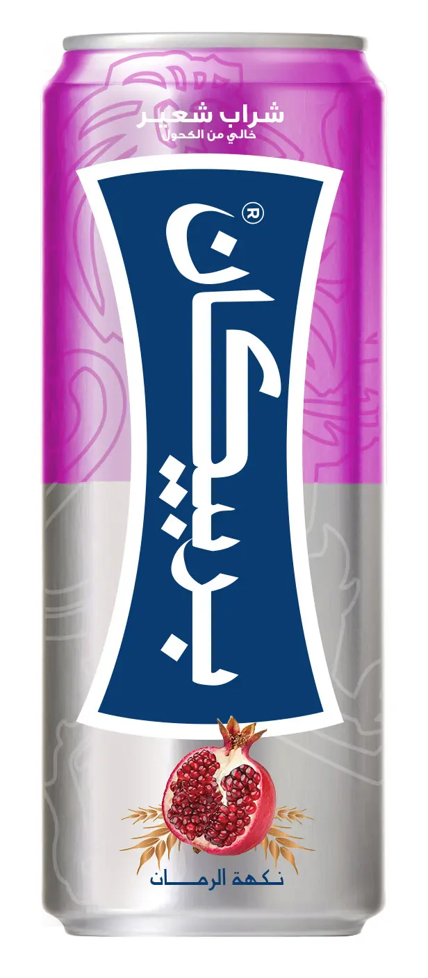 باربيكان - رمان